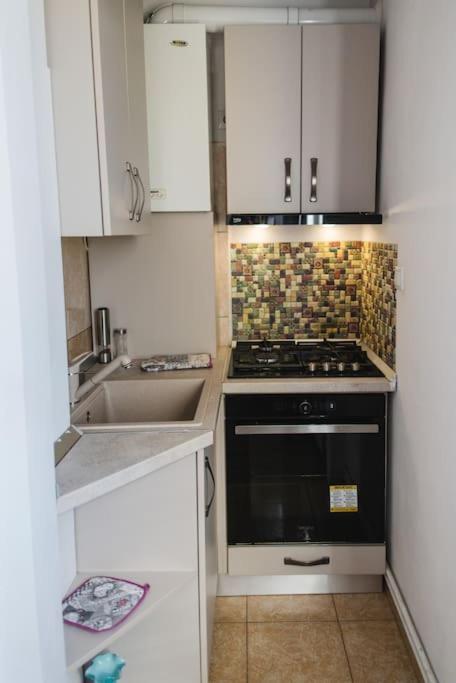 2 Bedroom Apt Park Belvedere Sibiu Esterno foto
